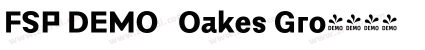 FSP DEMO   Oakes Gro字体转换